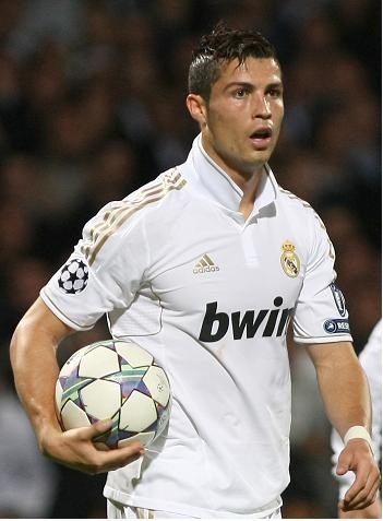 今年的羽毛 今年的羽毛